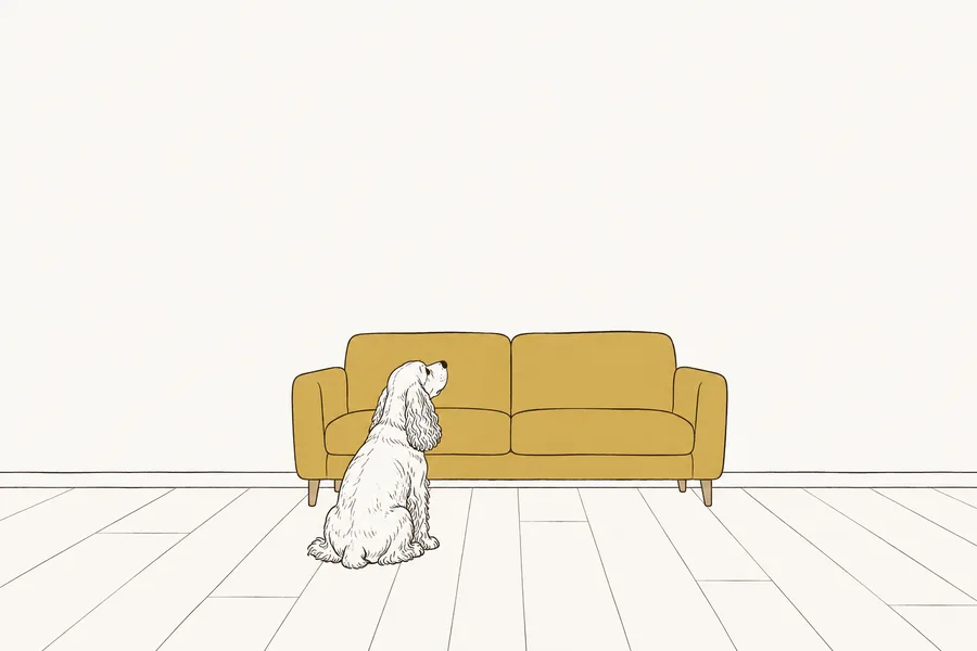 何も飾っていない白い壁を、エルりんが見上げている絵