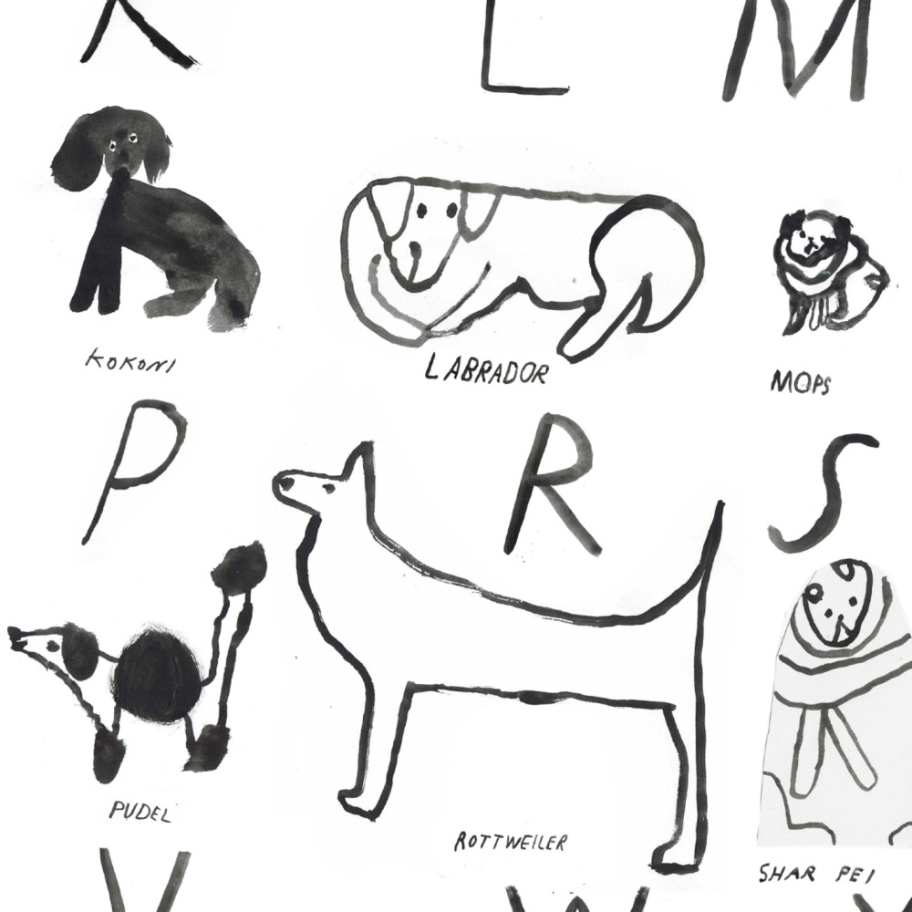 犬種のディテール