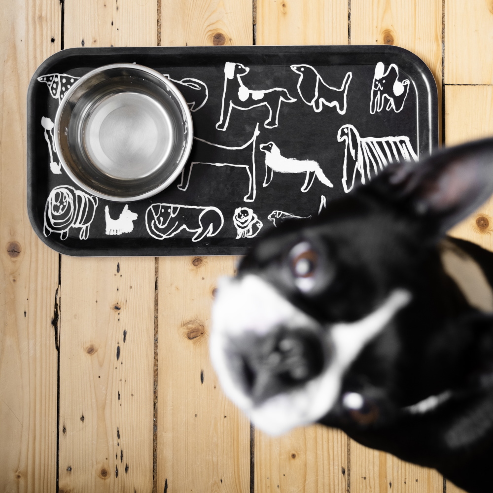 Dog Life 木製トレイ デザイン拡大