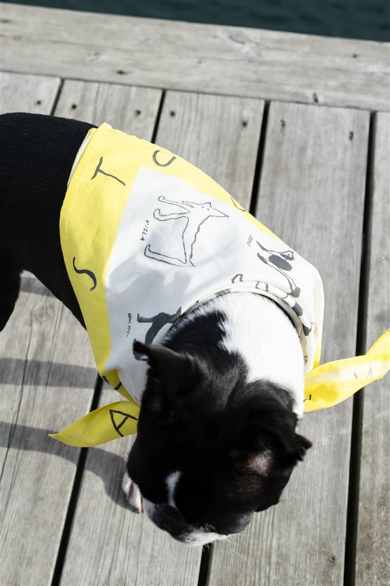 スカーフを巻いた犬（横から）